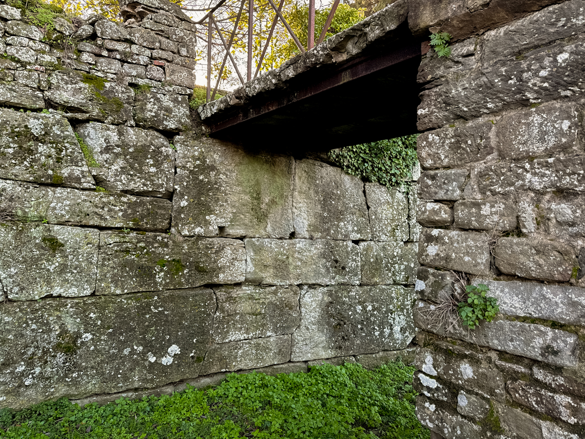 Mura Etrusche