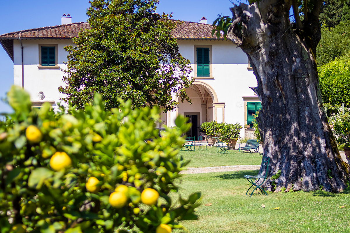 Villa medici